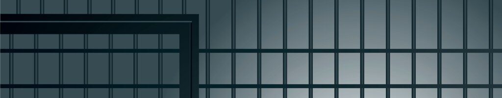 Kidnapper arrested and in prison in Zurich for the last few months